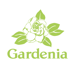 Gardenia 