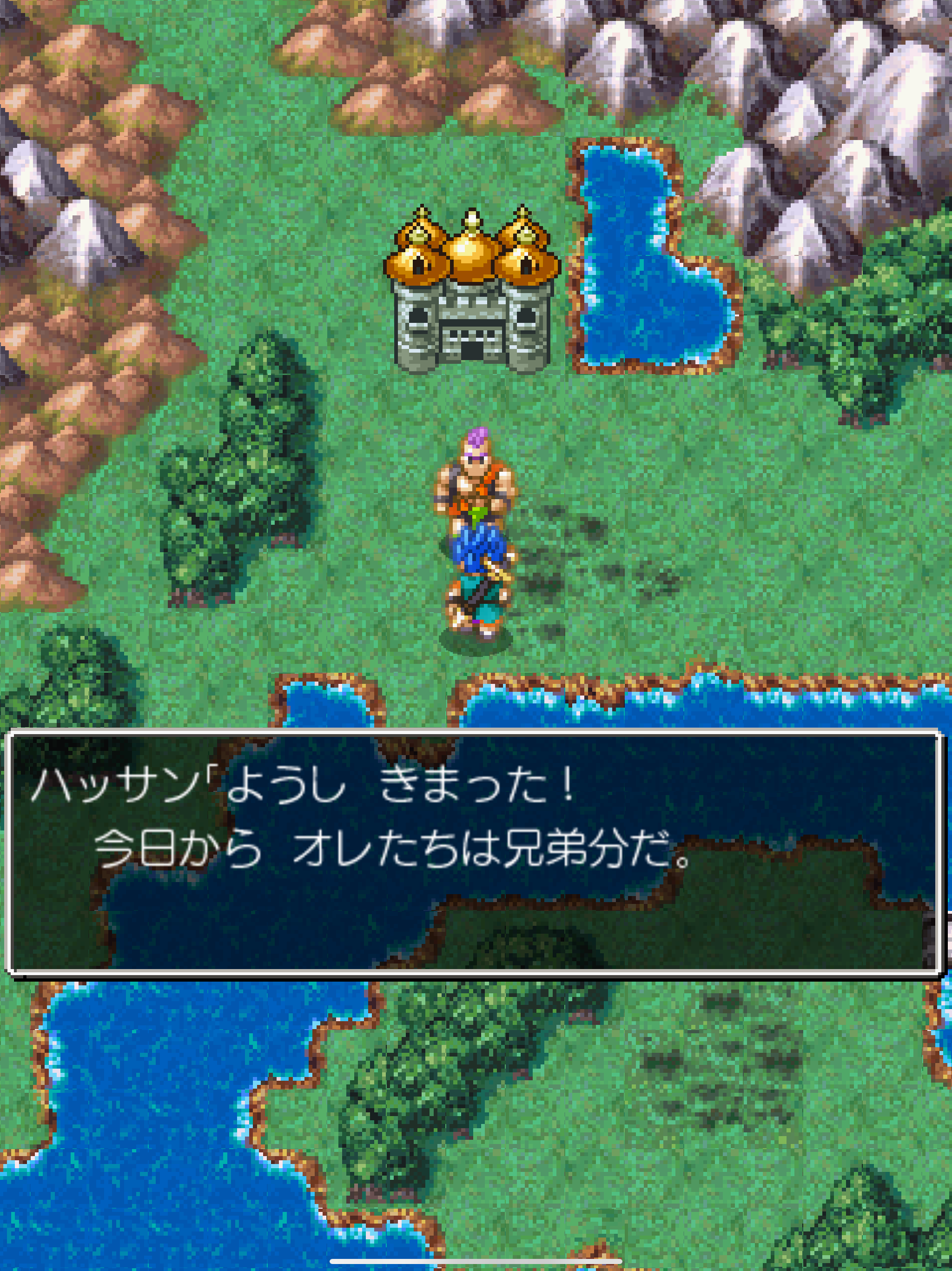 ドラゴンクエストVI 幻の大地 screenshot 9