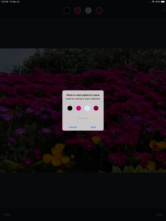 Screenshot #6 pour Color Palettes Generator