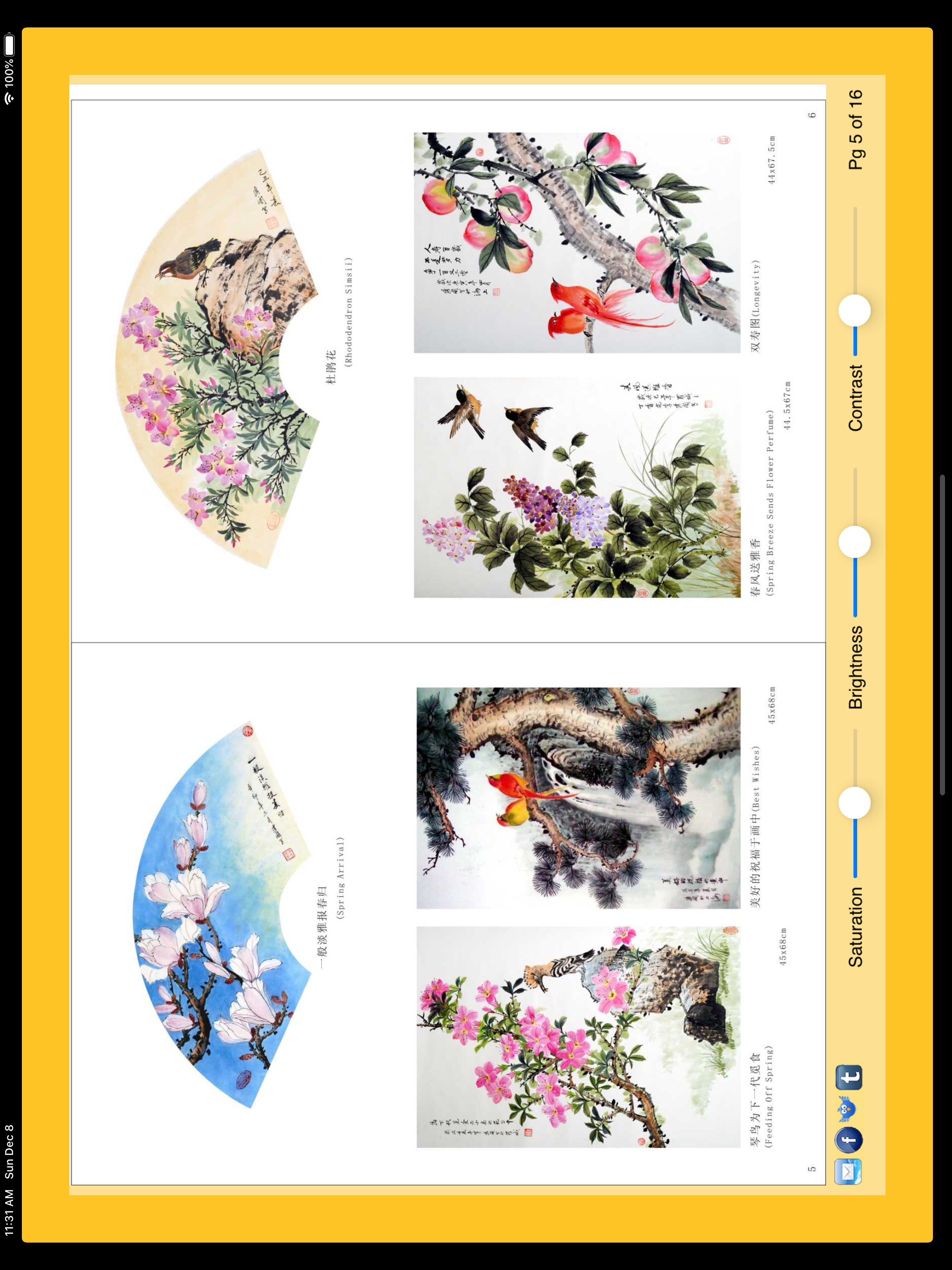 Peony Gallery