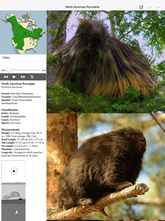 Screenshot #4 pour Stuarts North American Mammals