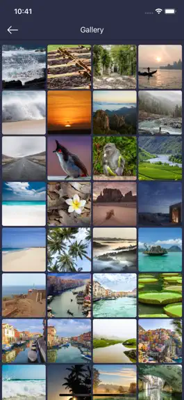 Game screenshot Photv apk