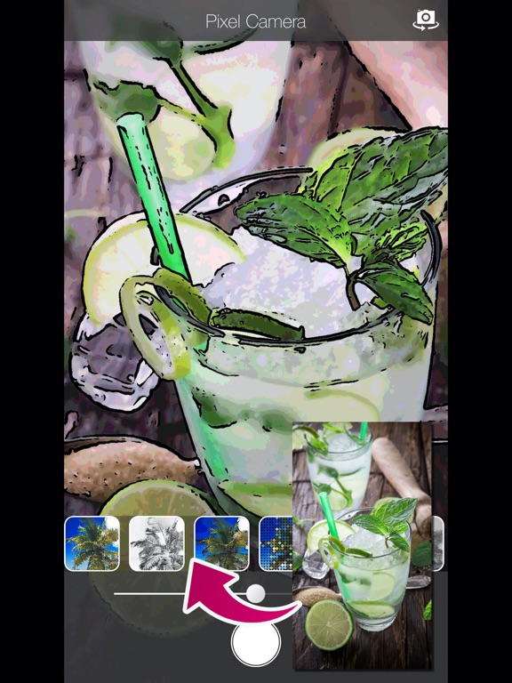 Pixel Camera! iPad screenshot