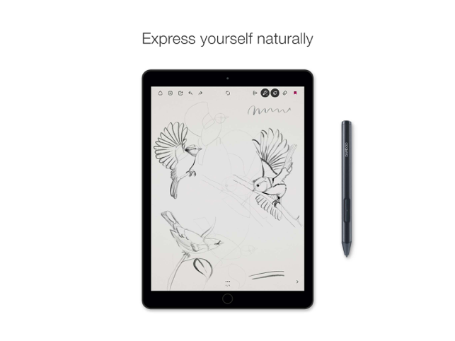 Bamboo Paper Screenshot