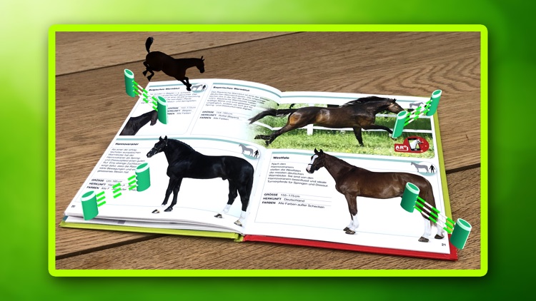 MemoPferde screenshot-4