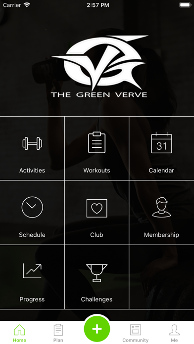 The Green Verve Screenshot