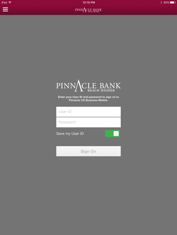 Pinn CA Bus for iPad