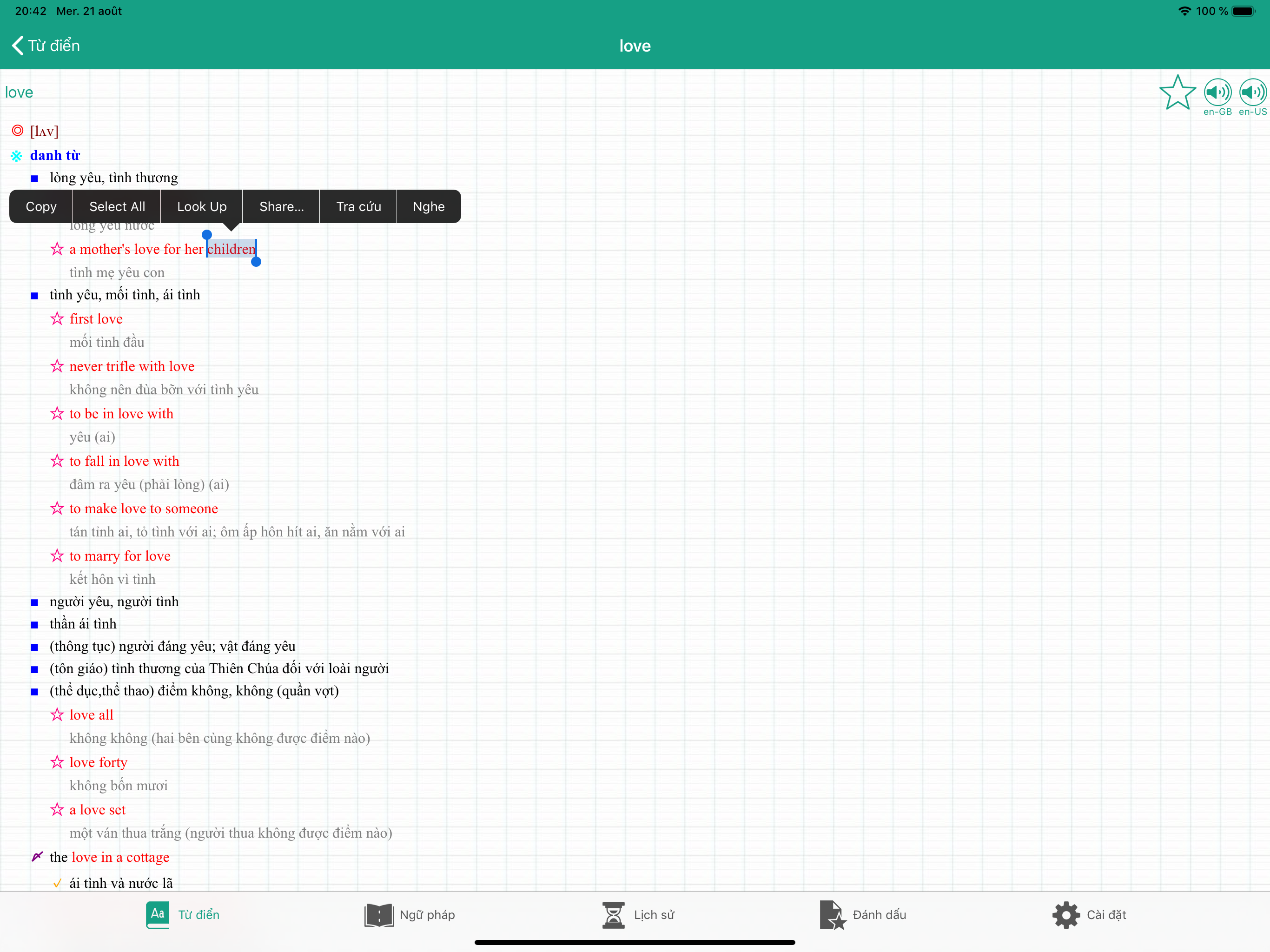 Từ điển Anh Việt (TygonDict) screenshot 11