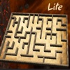 RndMaze - Classic Maze Lite icon