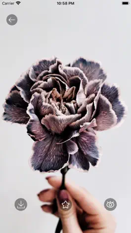 Game screenshot Zero-Wallpapers HD hack