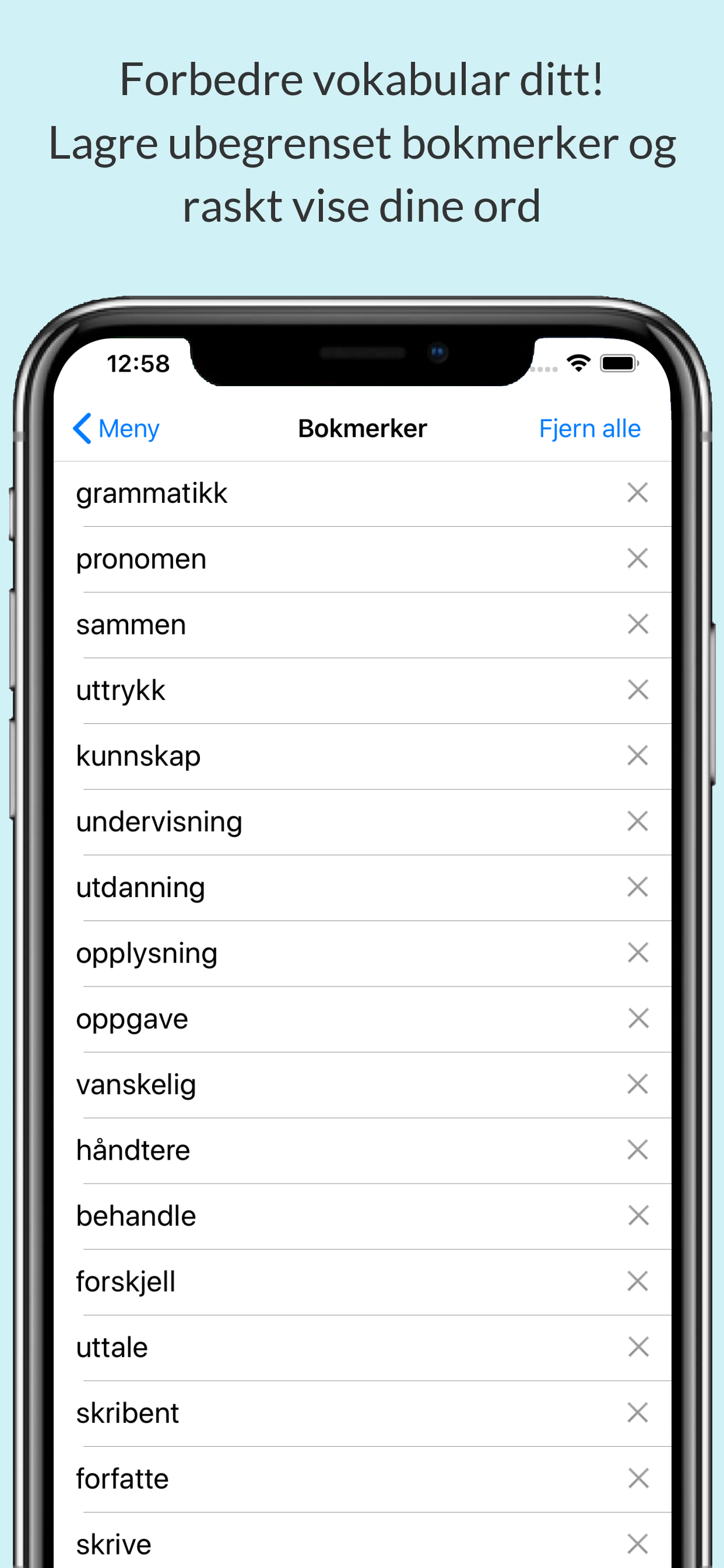 Norsk Ordbok og Synonymer
