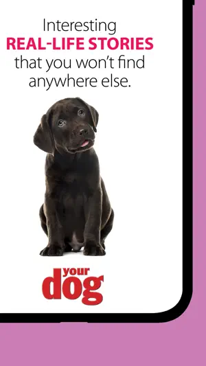 Your Dog screenshot 4