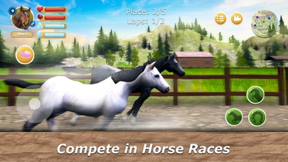 Farm of Herds: Horse Family Screenshot