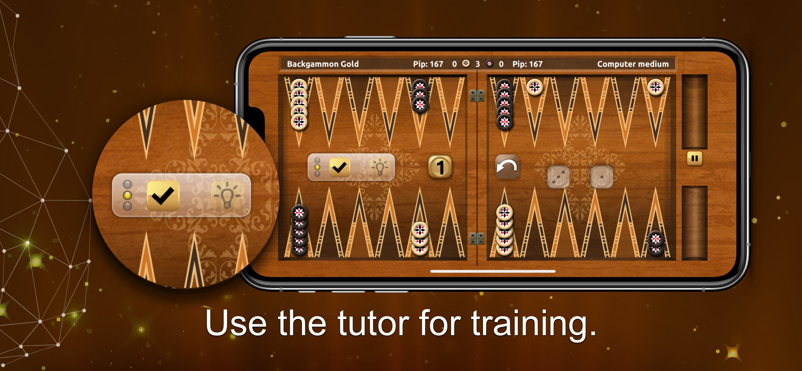 Backgammon Gold PREMIUM