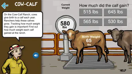 All About Beef