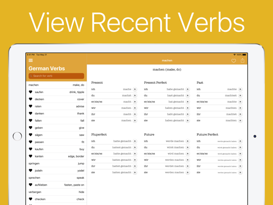 German Verb Conjugator iPad screenshot 5 - Education app