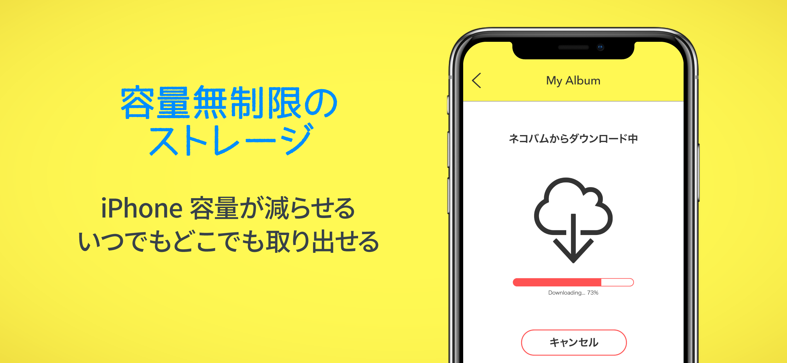 秘密のネコバム - シークレットアルバム