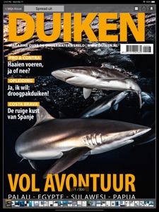 Schermafbeelding