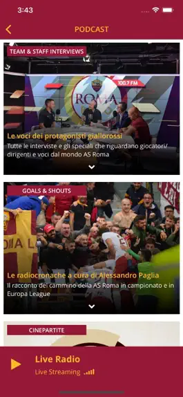Game screenshot Roma Radio apk