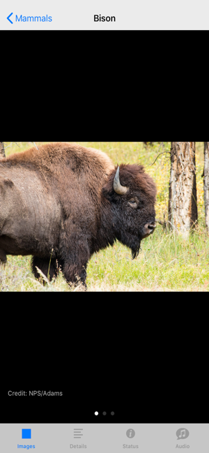 Yellowstone NP Field Guide(圖4)-速報App