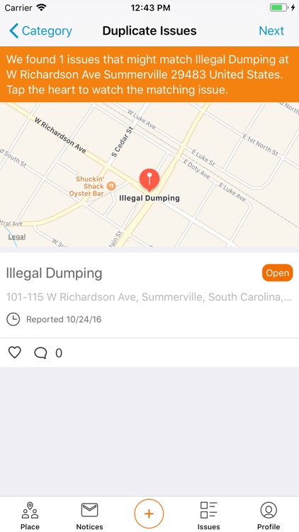 Town of Summerville screenshot-4