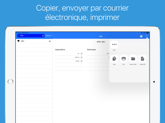 Screenshot #6 pour Les Verbes Français