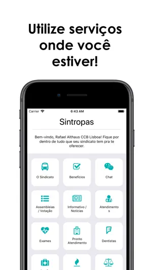 Sintropas screenshot 2