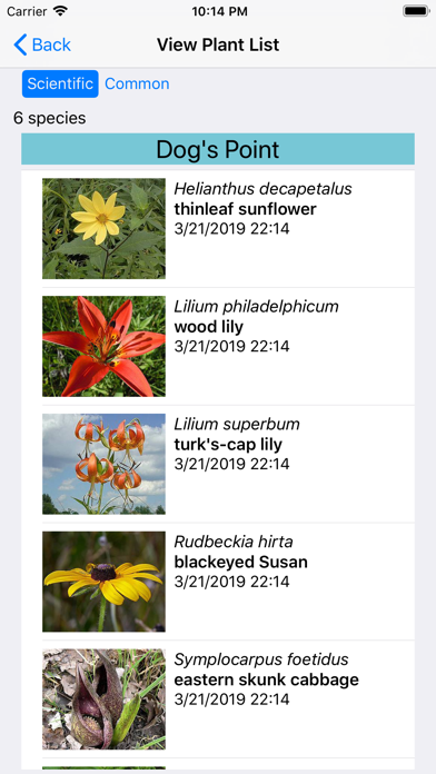 New York Wildflowers Screenshot