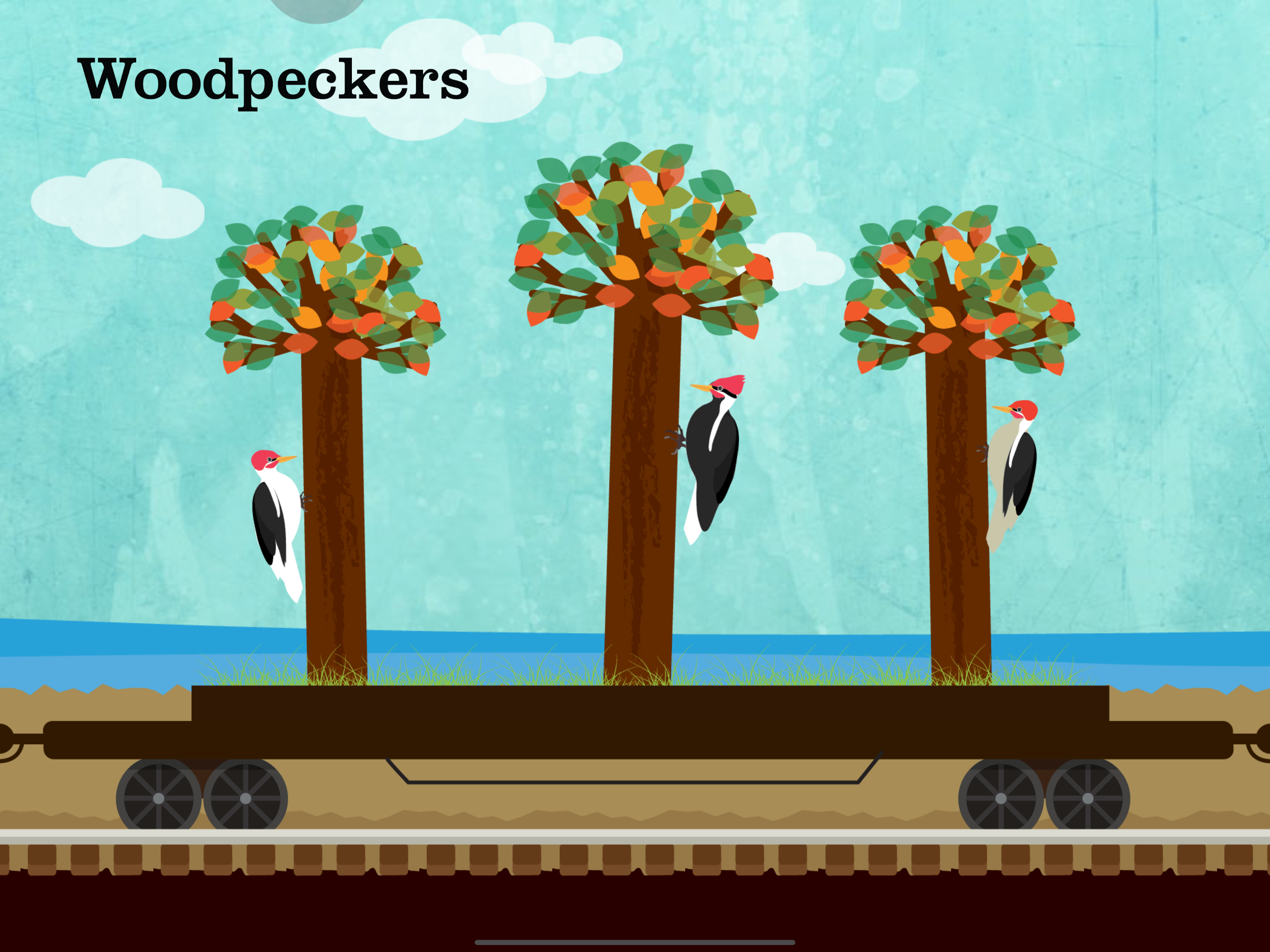 Peek-a-Zoo Train