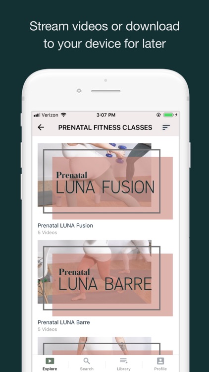 LUNA Mother Co screenshot-3