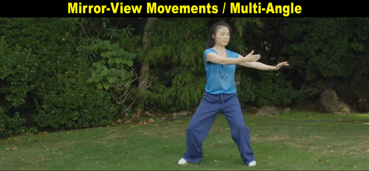 Tai Chi for Women screenshot 4