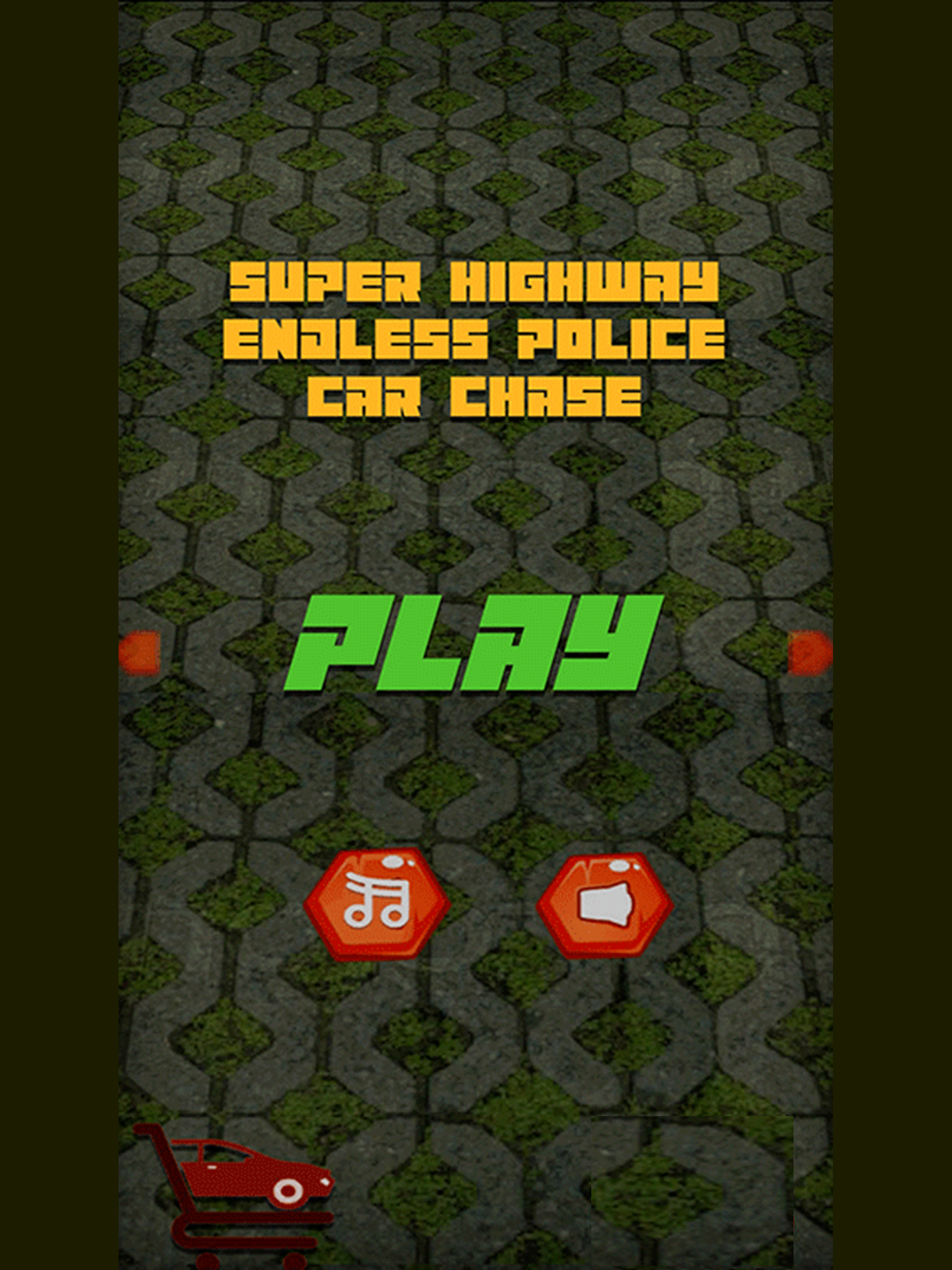 Super Highway Endless Police