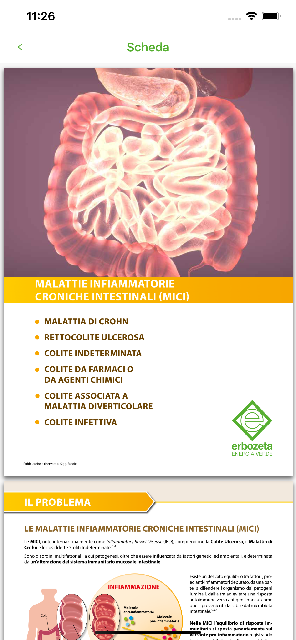 Erbozeta