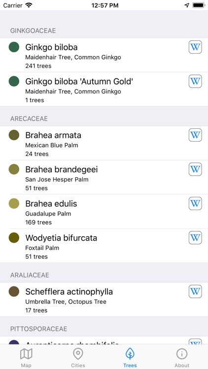 City Trees screenshot-3