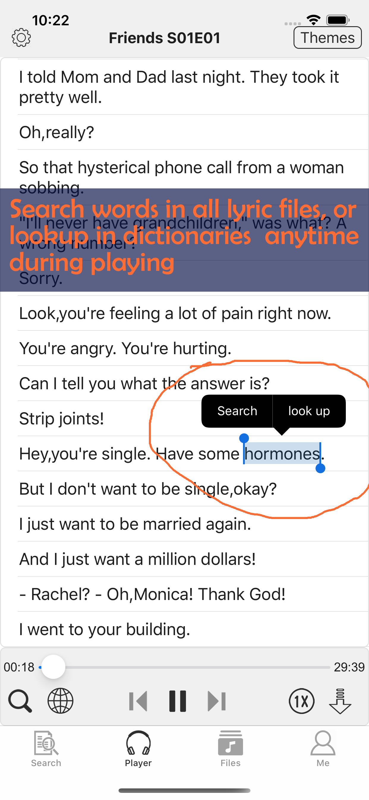 lyric player, subtitle player screenshot 2