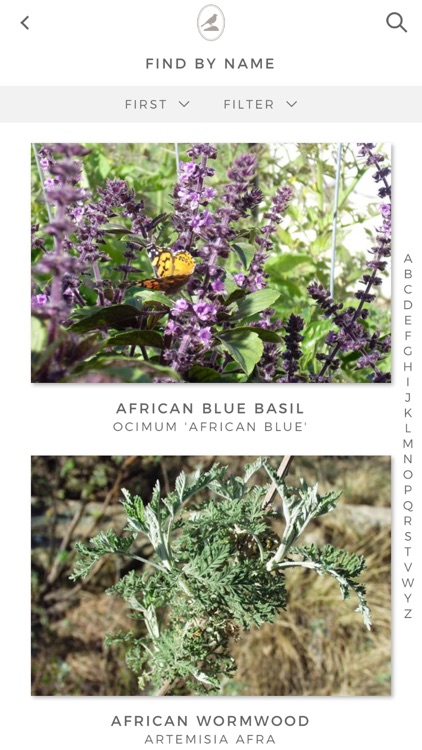 Fieldstone Guide: Herbs