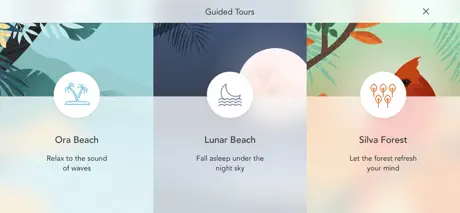 CareU : to do list&motivation