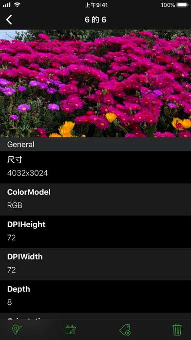 Exif Manager PRO screenshot