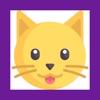 猫 クイズ ゲーム 2019 (日本の)