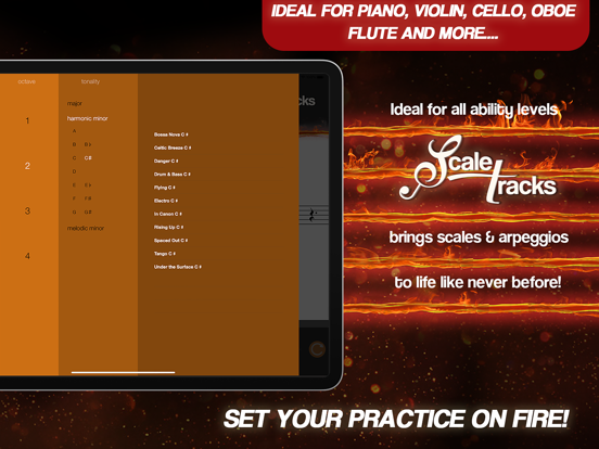 Screenshot #4 for ScaleTracks