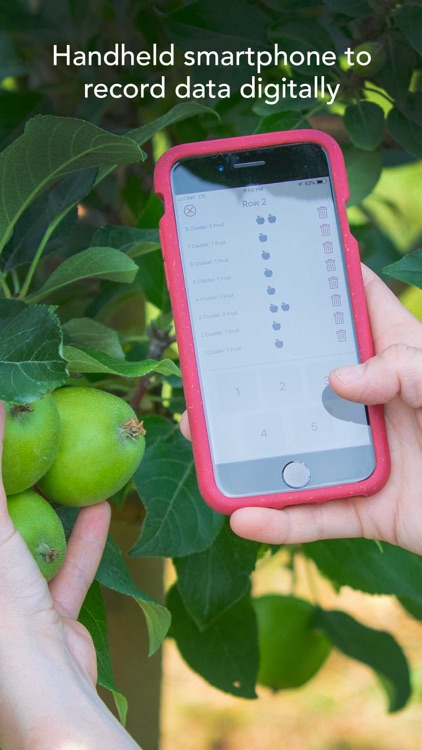 Perennia: Orchard Tools