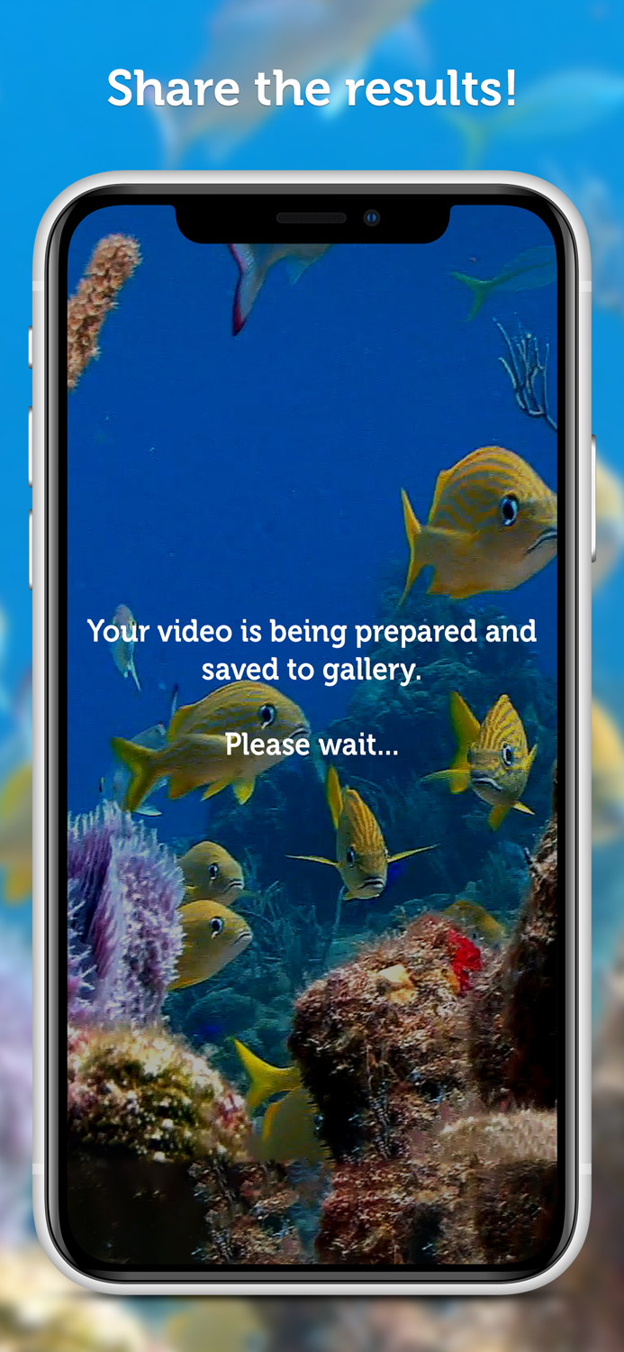 Instand Video FX and filters