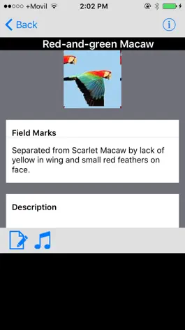 Game screenshot Panama Birds Field Guide Basic hack