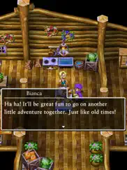 dragon quest v айпад изображения 3