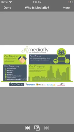 Mediafly Classic screenshot 2
