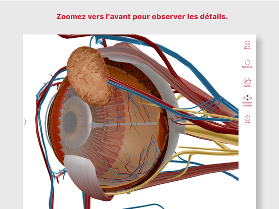 Screenshot #6 pour Anatomie & Physiologie