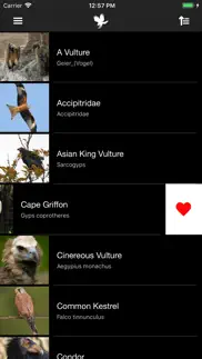 cross-birds iphone screenshot 2