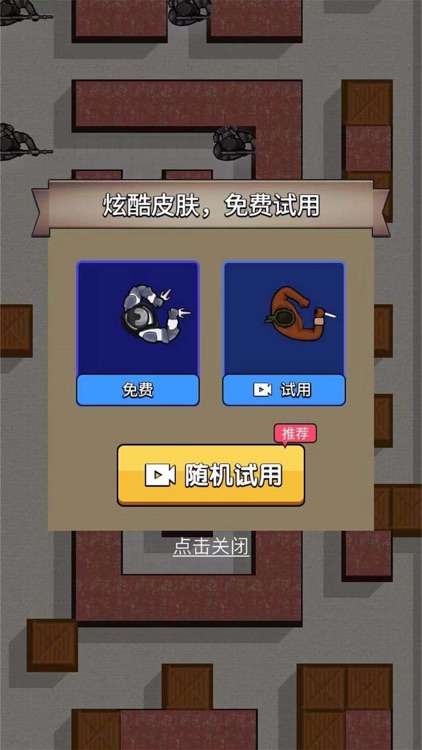 The Ninja Assassin Creed