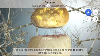 Brainapse Screenshot 8