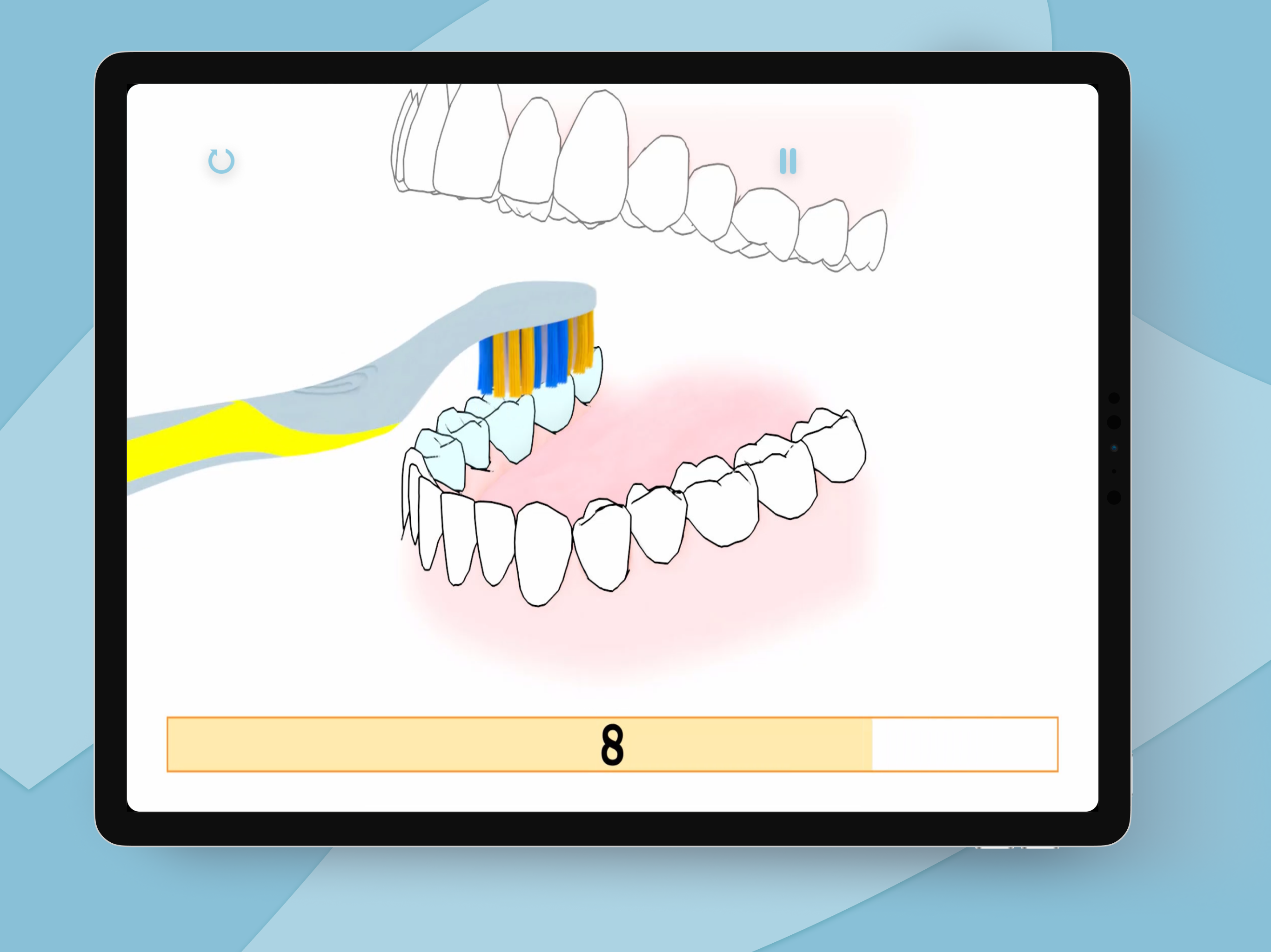 32teeth